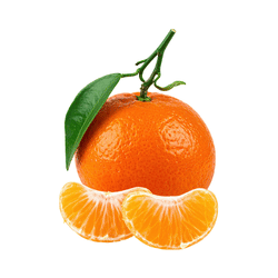 Mandarin: Fruits in a Spring Season