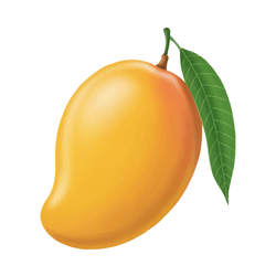 Mango in a Season in Spring: March, April and May