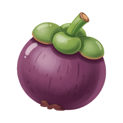 Seasonal Mangosteen: Spring Fruits