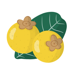 Nance - Seasonal Fruit