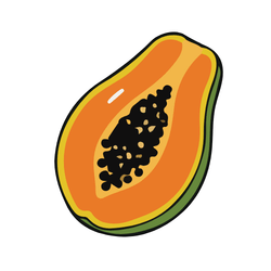 Papaya: Spring Fruits in a Season
