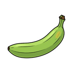 Plantain: Spring Fruits in a Season