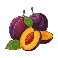 Plum in a Season in Spring: March, April and May