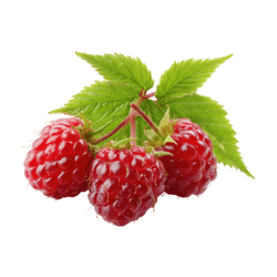 Raspberry