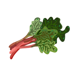 Fruits in a Season in Spring: March, April and May