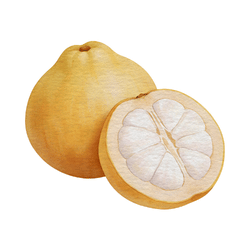 Santol