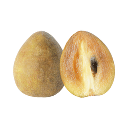Seasonal Sapodilla