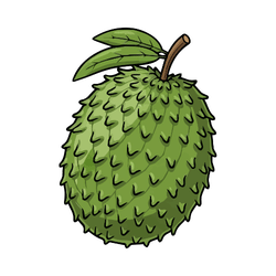 Spring Soursop: Seasonal Fruits in spring