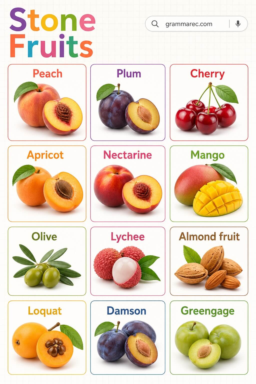 Types of Fruits: Stone Fruits Names