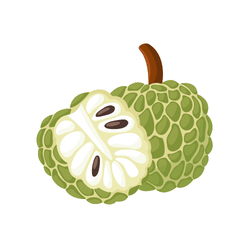 Sugar Apple: Winter Fruits Names