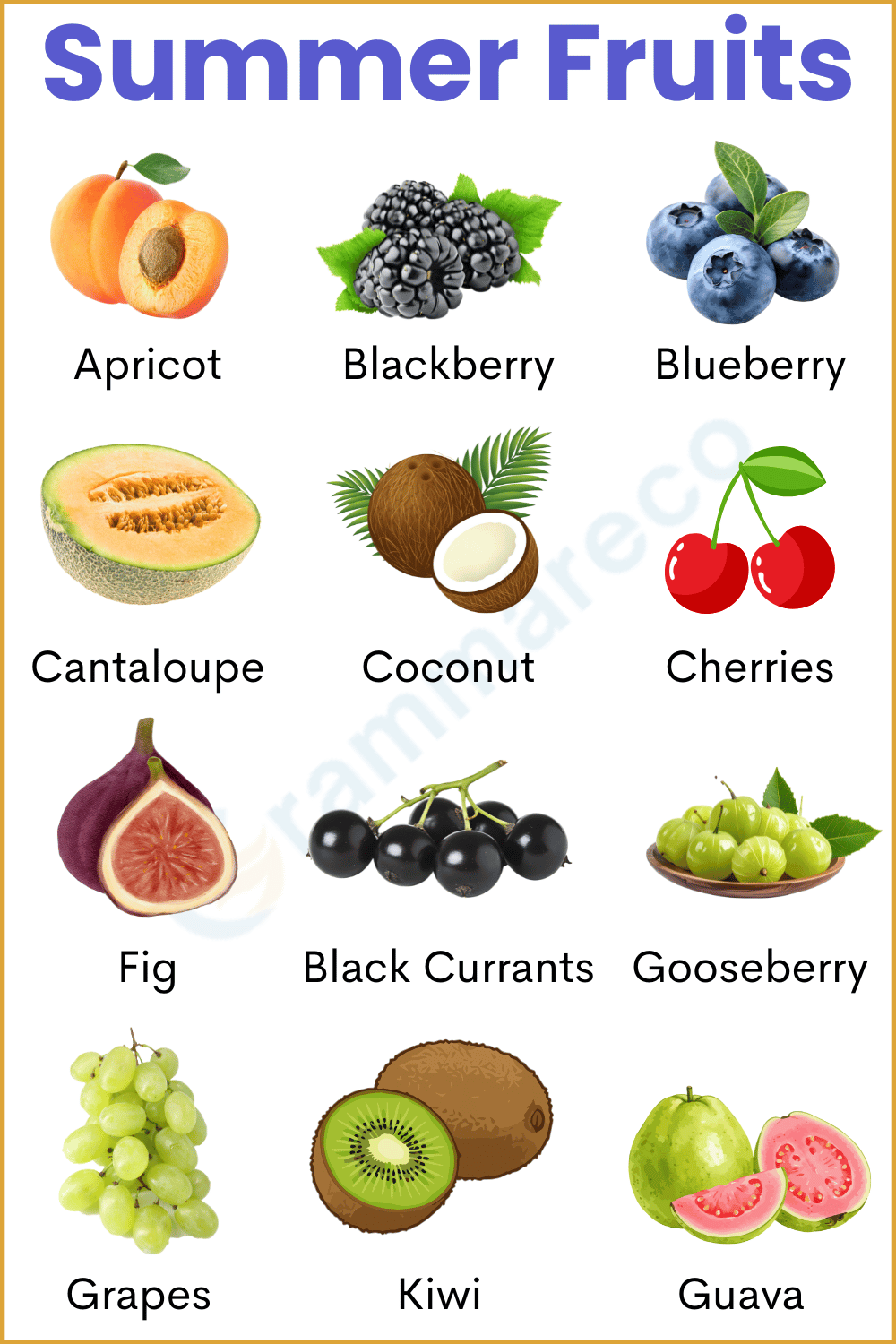 Summer Fruits List with their Pictures and Information