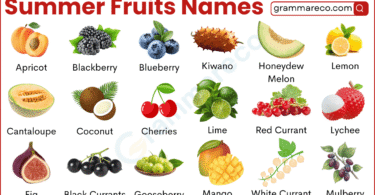 40+ Summer Fruits in Season: Summer Fruits List with Pictures