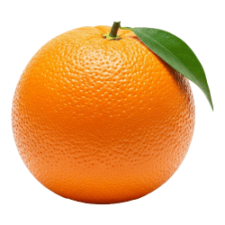 Oranges: What Fruits are in Season in Summer?
