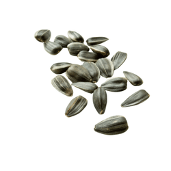 Sunflower Seeds: Dried Fruits Names