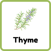 Thyme