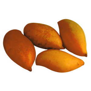 Totapuri: A well-known mango variety