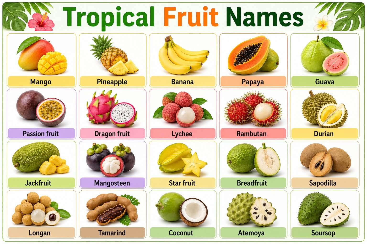 Tropical Fruit Names with Pictures