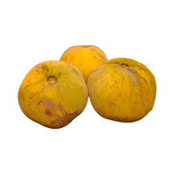 Tropical Santol Fruits
