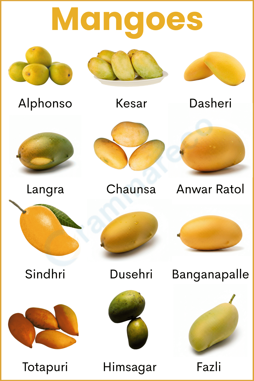 Different Varieties of Mangoes with Images