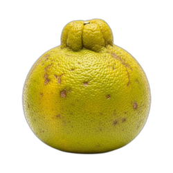 Ugli fruit
