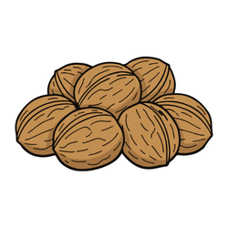 Walnuts: Pantry Staples List