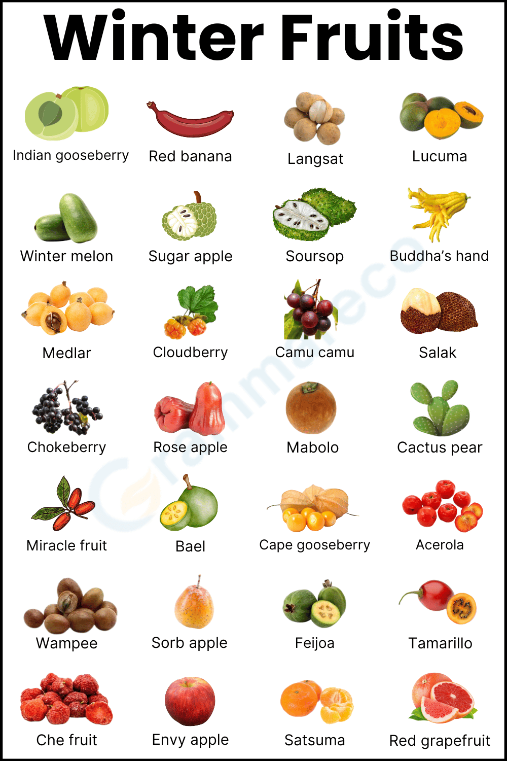 Winter Fruit List with Pictures