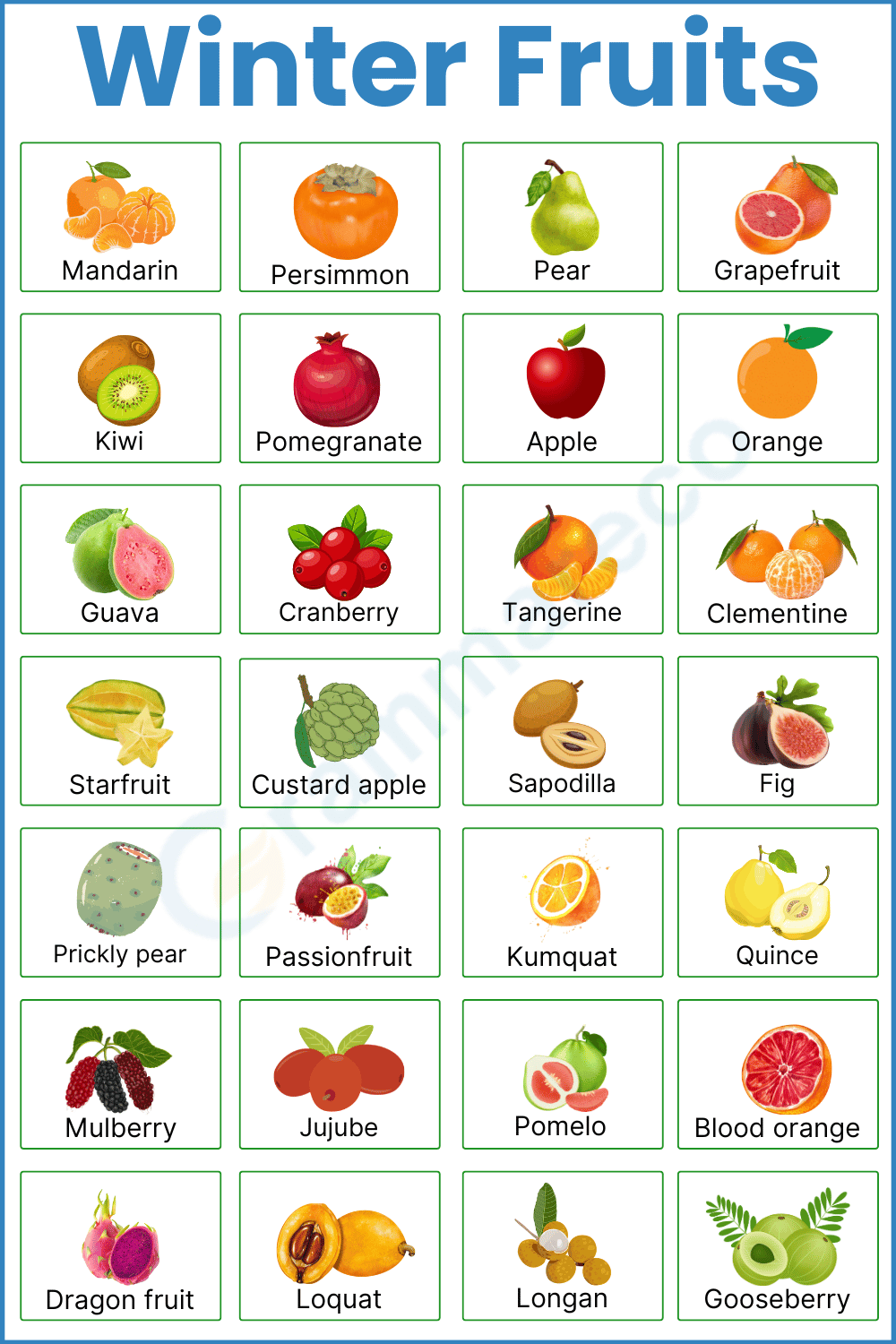 28+ Winter Fruits and Photos with Information