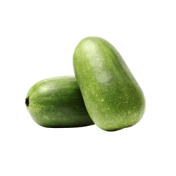 Winter melon