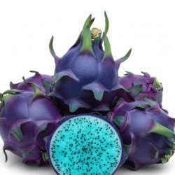 Blue Dragon Fruit: Names of Blue Fruits