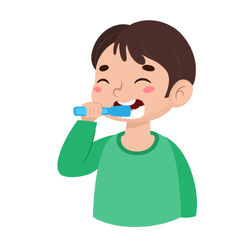 Brush the teeth: Daily Routine Vocabulary Words