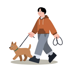 Walk the dog: My Daily Routine Words List