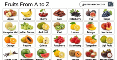 250+ Fruits Name A to Z with Pictures: Alphabetical Fruits List