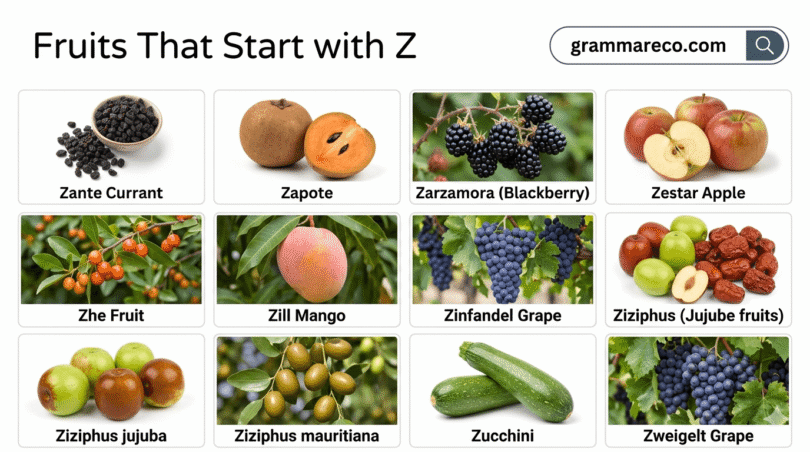 19 Fruits that Start with Z: Full List with Pictures and Fun Facts