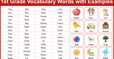 1st Grade Vocabulary Words List: 200+ Words with Examples