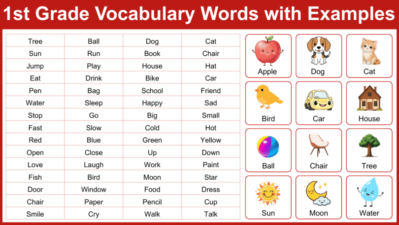 1st Grade Vocabulary Words List: 200+ Words with Examples