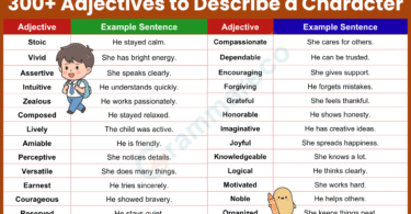 200+ Unique Adjectives to Describe a Character with Pictures
