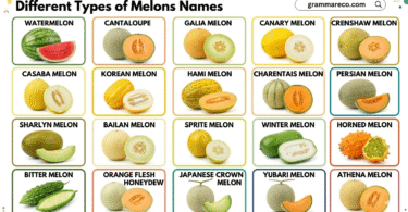23 Different Types of Melons List with their Pictures