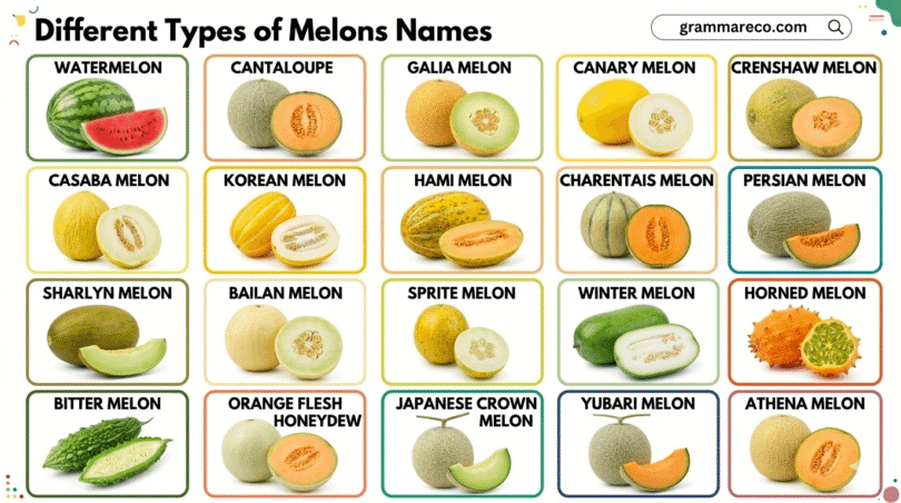 23 Different Types of Melons List with their Pictures
