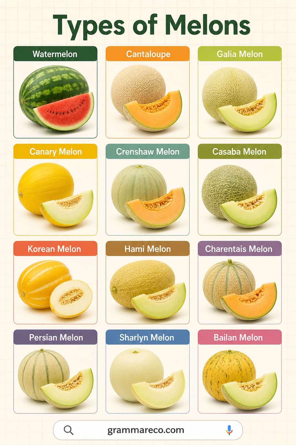 23 Different Types of Melons and their Pictures