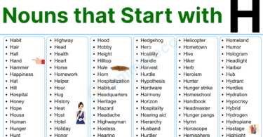 320+ Common Nouns that Start with H with Examples and Pictures