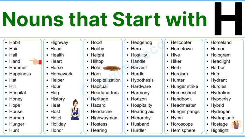 320+ Common Nouns that Start with H with Examples and Pictures