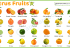 40+ Types of Citrus Fruits: List with Names and their Pictures