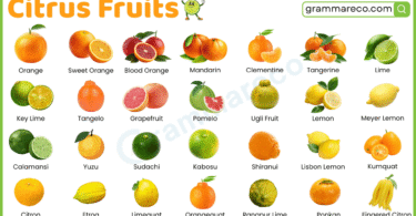 40+ Types of Citrus Fruits: List with Names and their Pictures