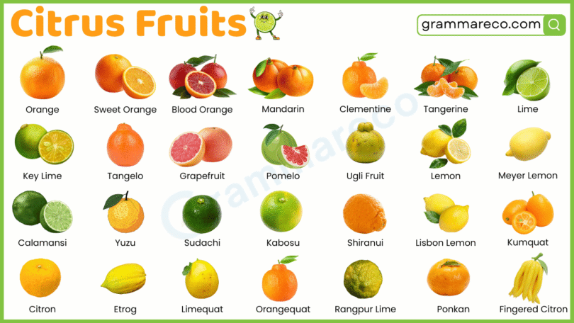 40+ Types of Citrus Fruits: List with Names and their Pictures