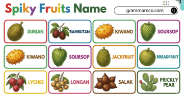 45+ Spiky Fruits Names and Pictures Durian, Rambutan and More