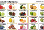 Complete Fall Fruits List: 60 Fruits in Autumn Season with Pictures