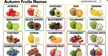 Complete Fall Fruits List: 60 Fruits in Autumn Season with Pictures