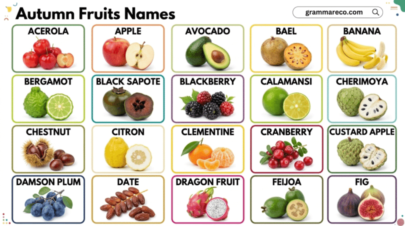 Complete Fall Fruits List: 60 Fruits in Autumn Season with Pictures