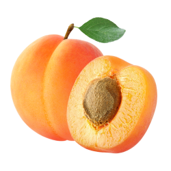 Apricot Sweet Fruit
