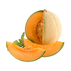 Athena Melon